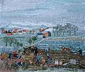 Kartoffelernte, (Herbst, Reif) 1976